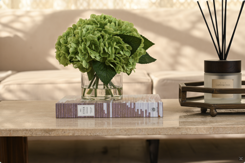 هدرنجا اخضر وسط