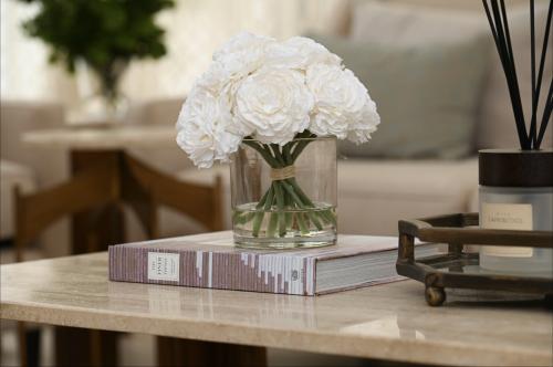 بيوني ابيض  وسط