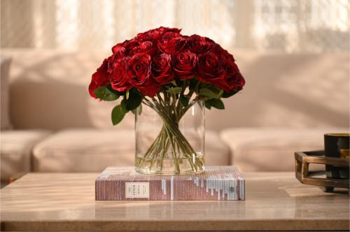 جوري احمر كبير