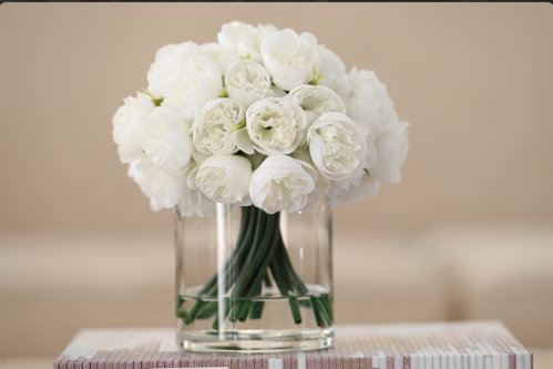 بيبي بيوني ابيض