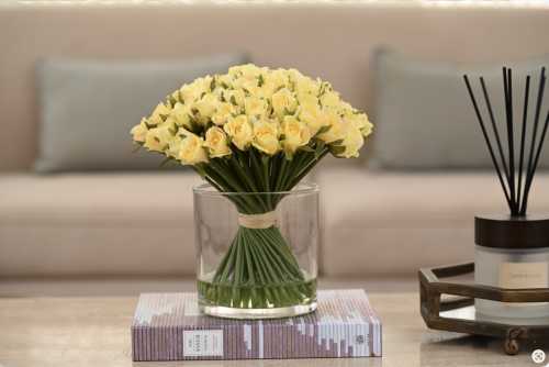 بيبي جوري اصفر