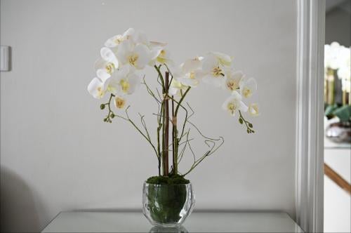 اوركيد 2 اغصان حجم وسط