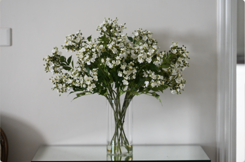 12 غصن من ورد الواكس