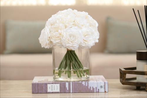 بيوني ابيض  كبير