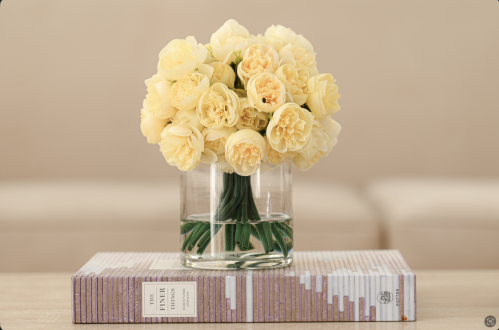 فازه جوري زهري