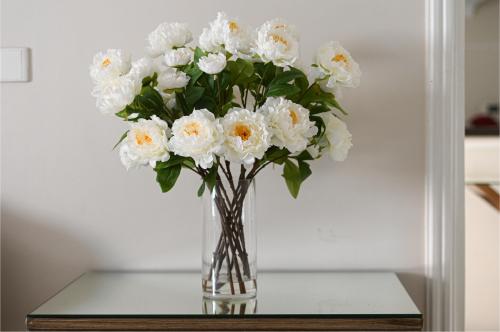 فازه الفاوانيا