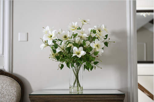 زهرة الماغنوليا البيضاء