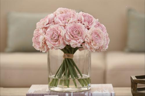 بيوني زهري  كبير