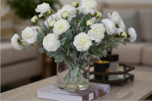 زهرة الراننكولس ابيض