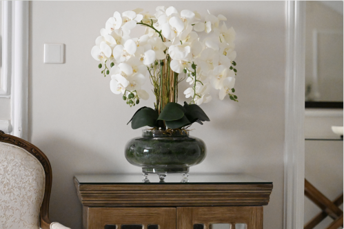 أوركيد ثمان أغصان