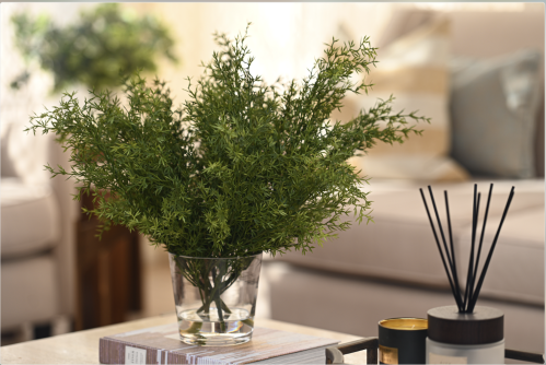 اغصان خضراء