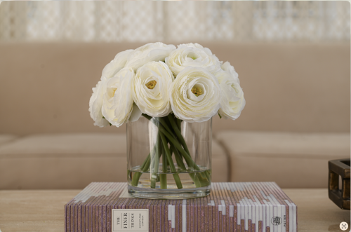 ورد الرانكلس