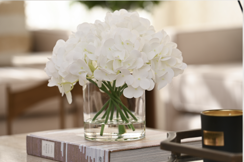 هدرنجا ابيض