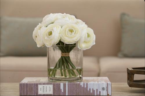 ورد الرانكلس