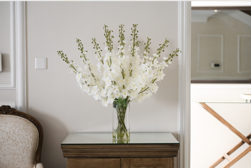 هدرنجا طويلة