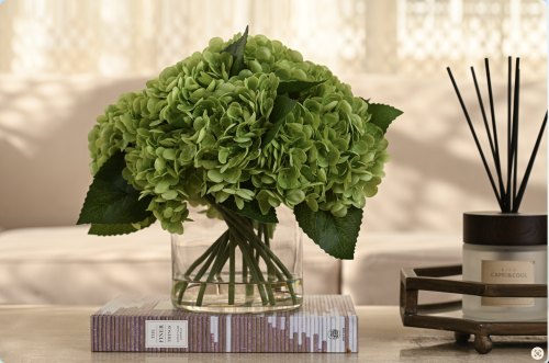 هدرنجا اخضر ملمس طبيعي