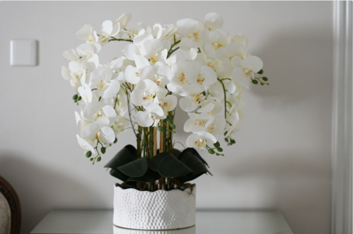 أوركيد 8 اغصان فازة ابيض