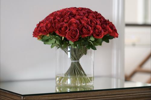 جوري احمر حجم كبير جدا