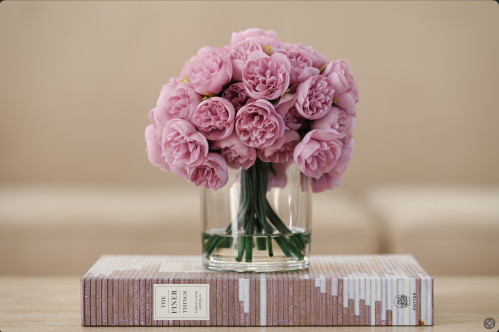 بيوني بنفجسي فاتح