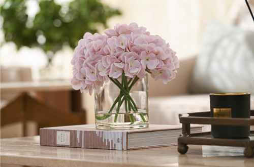 هدرنجا بنفسجي فاتح