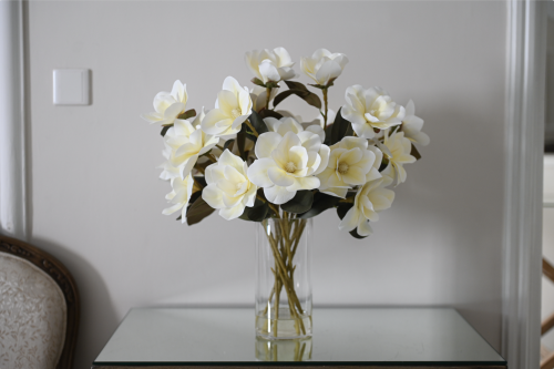 ورد فازة طويلة