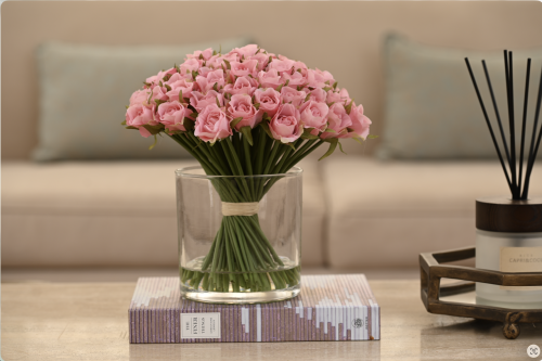 بيبي جوري زهري