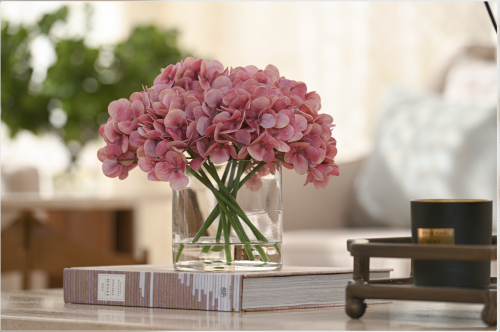 هدرنجا فوشي