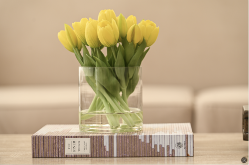 توليب اصفر  ملمس طبيعي