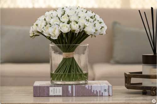 بيبي جوري اوف وايت