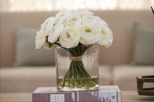 ورد الرانكلس حجم كبير