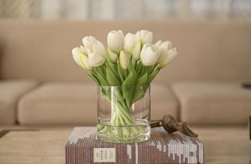 توليب ابيض ملمس طبيعي