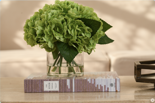 هدرنجا اخضر وسط