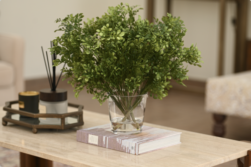 اغصان خضراء