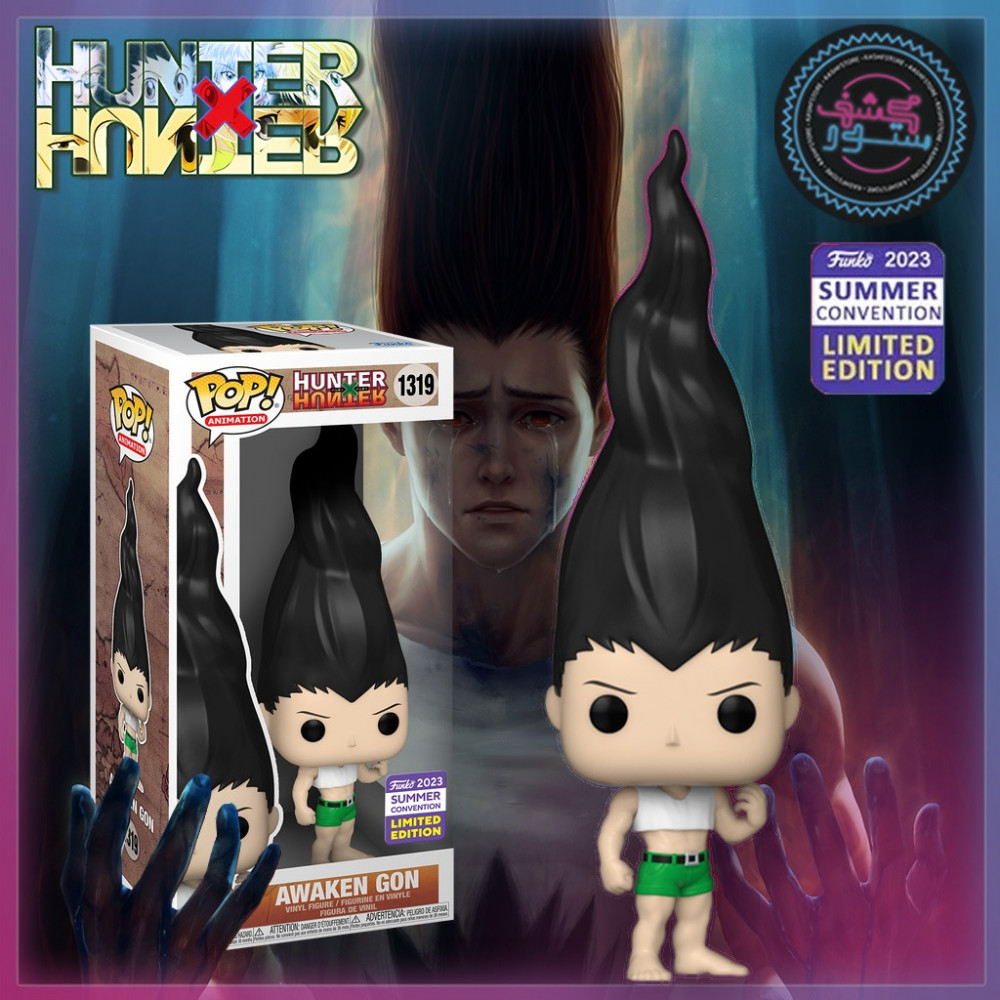 Funko Pop! Animation: Hunter X Hunter - Awaken Gon Summer Convention 2023  Exclusive