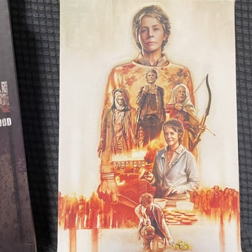 The Walking Dead Supply Drop EXCLUSIVE Canvas Collection Carol Peletier