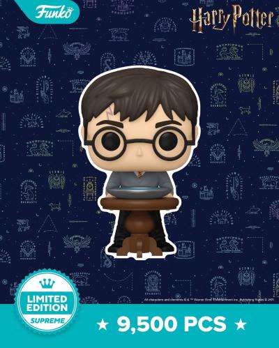 Funko Pop! Harry Potter With Pensieve #179 LE 9500