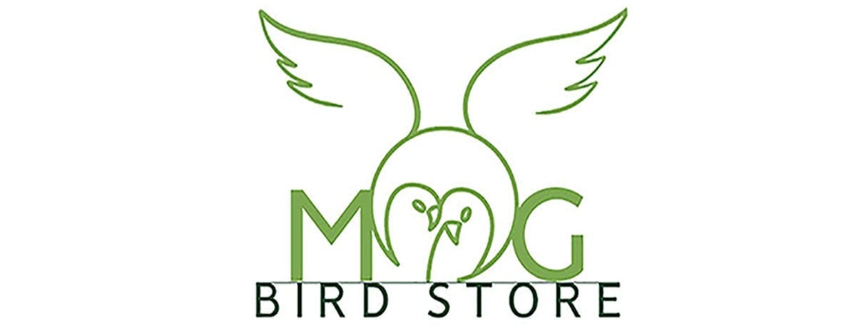 store avatar