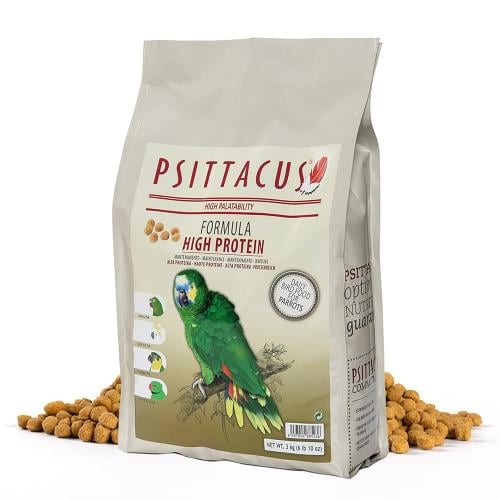 غذاء يومي عالي البروتين  بوزن 3 كيلو