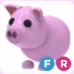 FR Pig