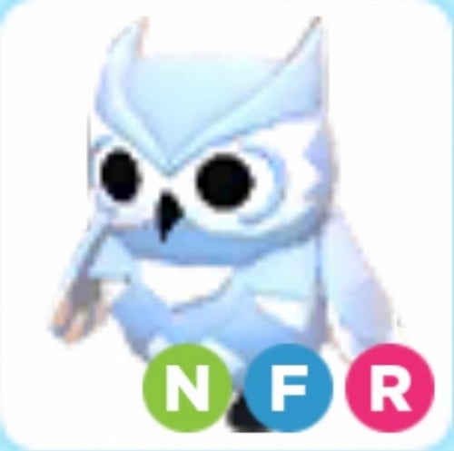 NFR Snow Owl