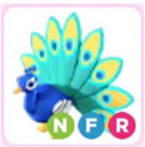 NFR Peacock