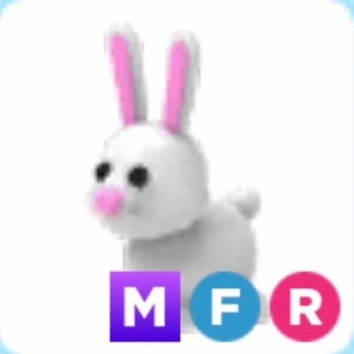 MFR Bunny
