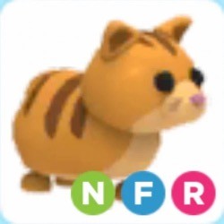 NFR Ginger Cat