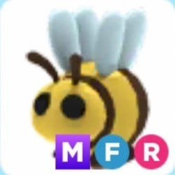 MFR Bee
