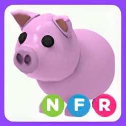 NFR Pig