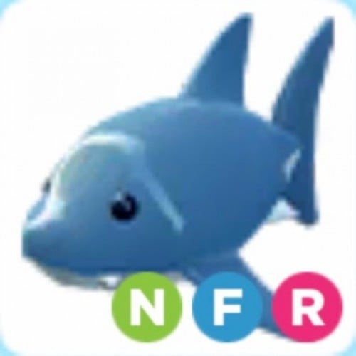 NFR Shark