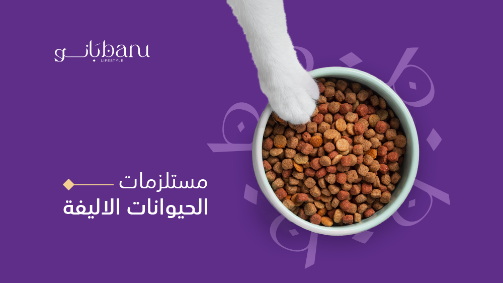 أهم النصائح لأصحاب القطط والكلاب عند شراء مستلزمات الحيوانات الأليفة