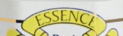 ايسنز | Essens
