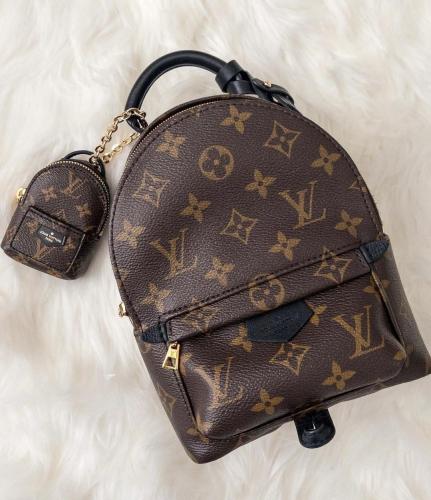 Louis Vuitton Palm Spring Monogram Mini Bag Brown - E-SEVEN STORE