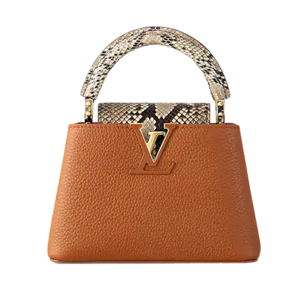 Louis Vuitton Capucines 21cm Leather Bag in Luxury Honey
